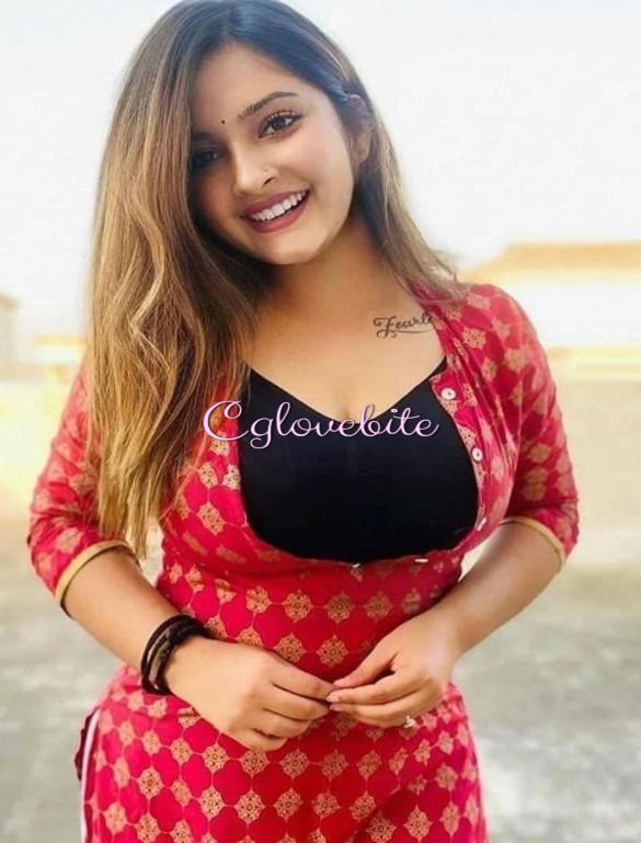 Velvet Evenings in Ludhiana with Enchanting Call Girls